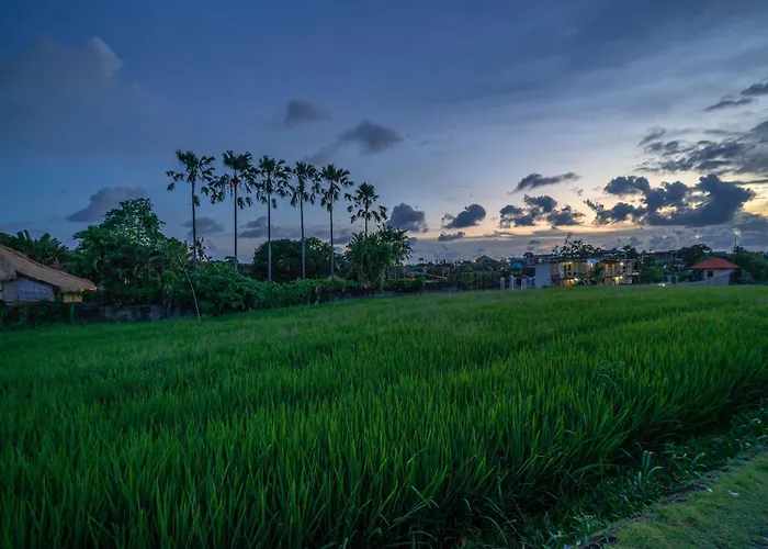 Luuma 3 - Cozy Umalas Oasis, 1br Private * Canggu (Bali)