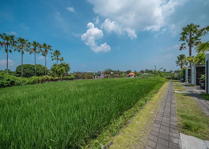Luuma 3 - Cozy Umalas Oasis, 1br Private